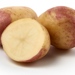 king edward potatis